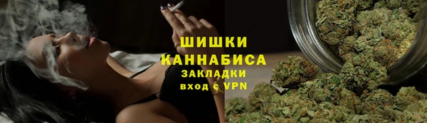сатива Белоозёрский