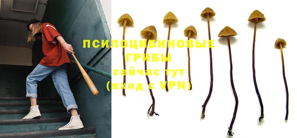 спайс Баксан
