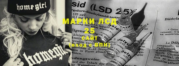 спайс Баксан