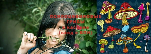 сатива Белоозёрский